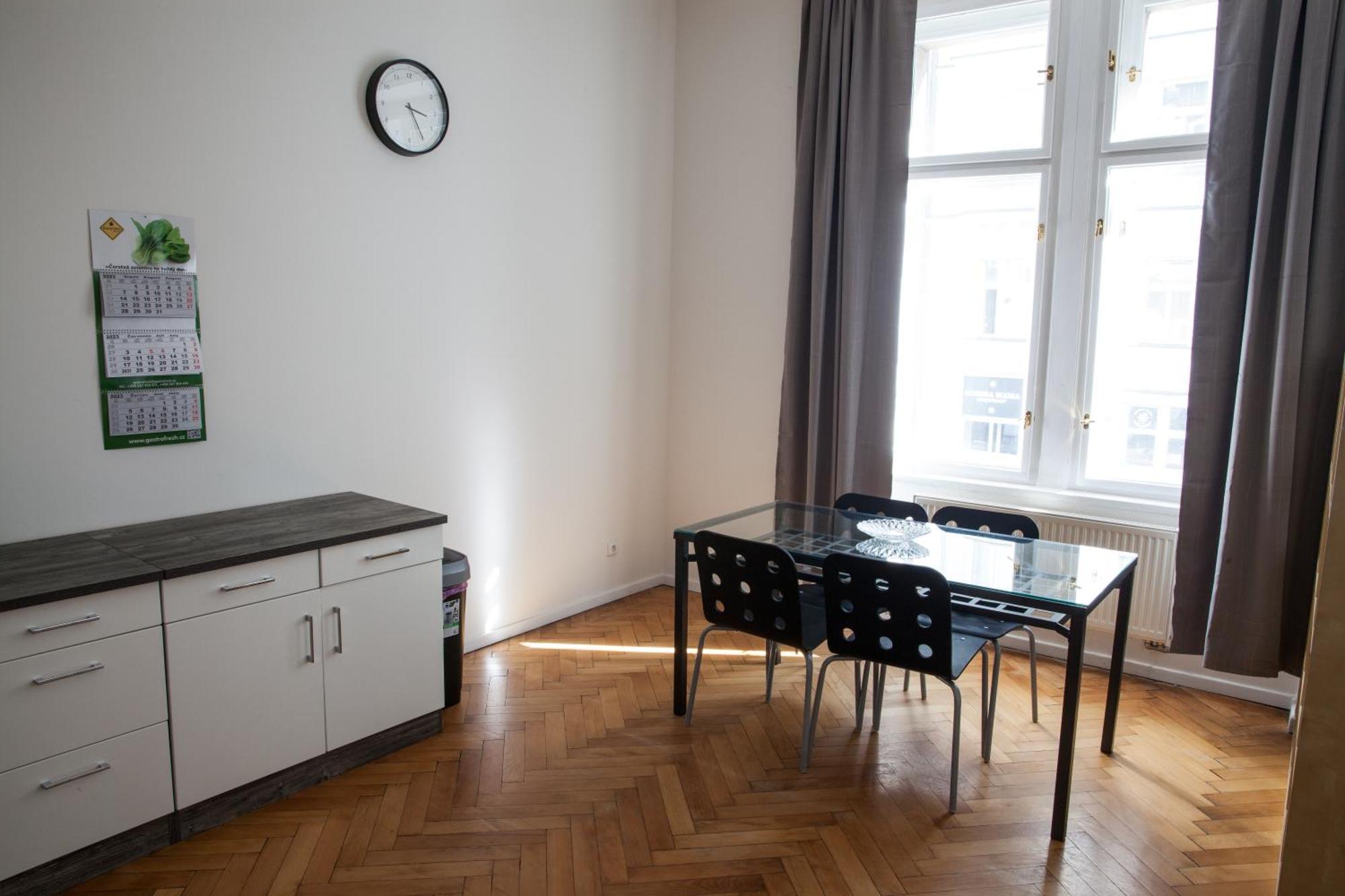 Spacious 2 Bedroom With Terrace Apartment Prague